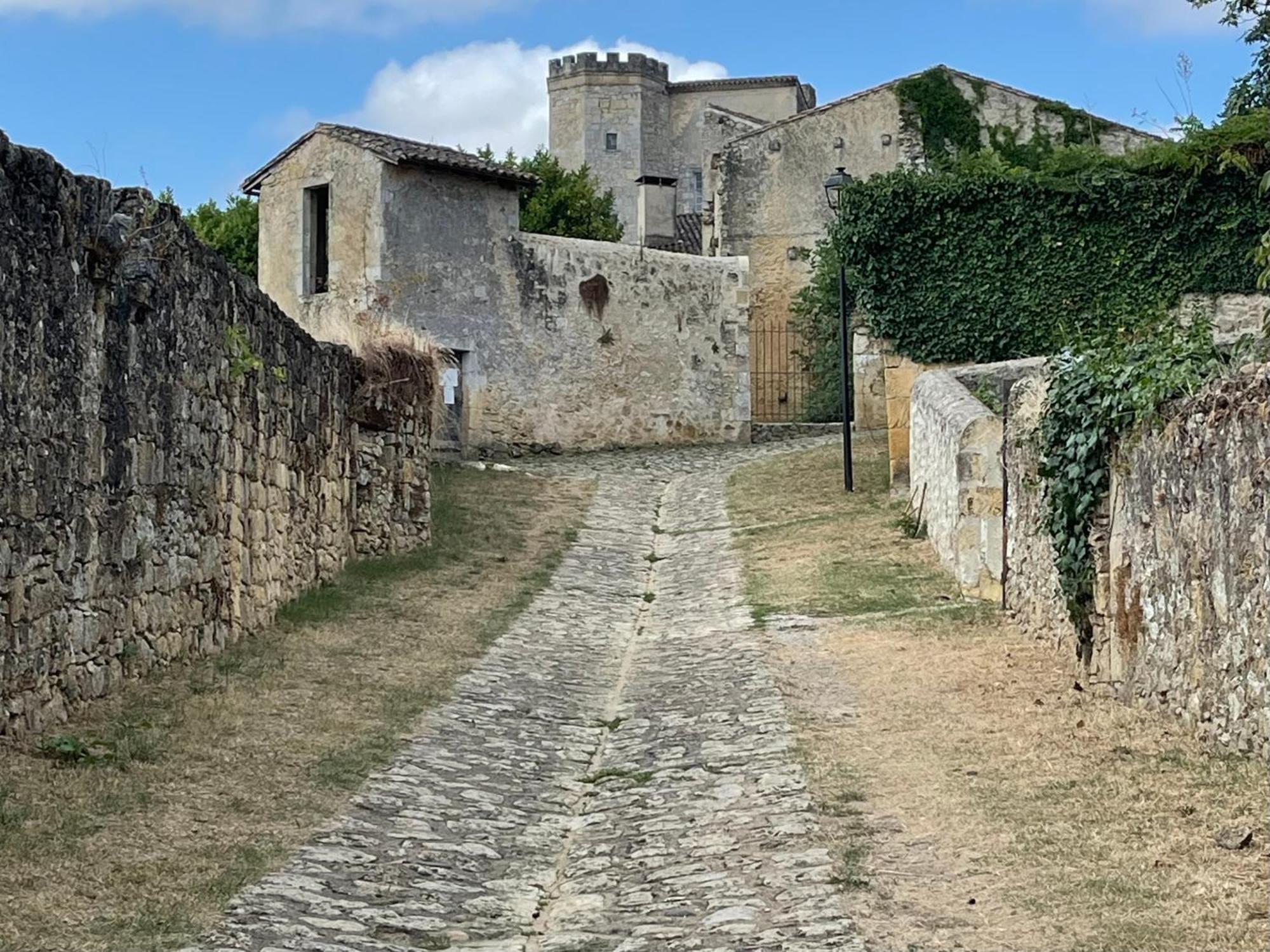 House In A Medieval Village Saint-Macaire Exterior photo